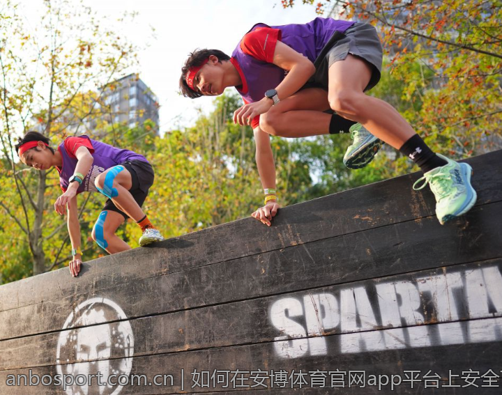 如何在安博体育官网app平台上安全下注与玩法解析